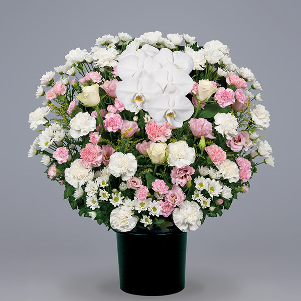 朝霞市葬儀社 アトラスが案内する供花（洋花１、税込19,800円）